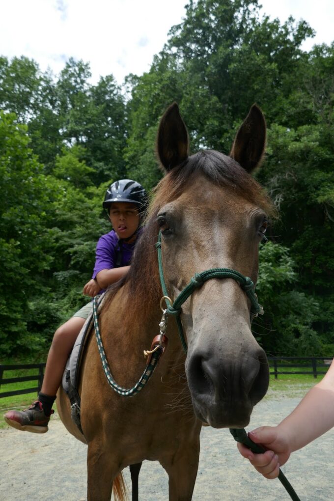 Camper on horse