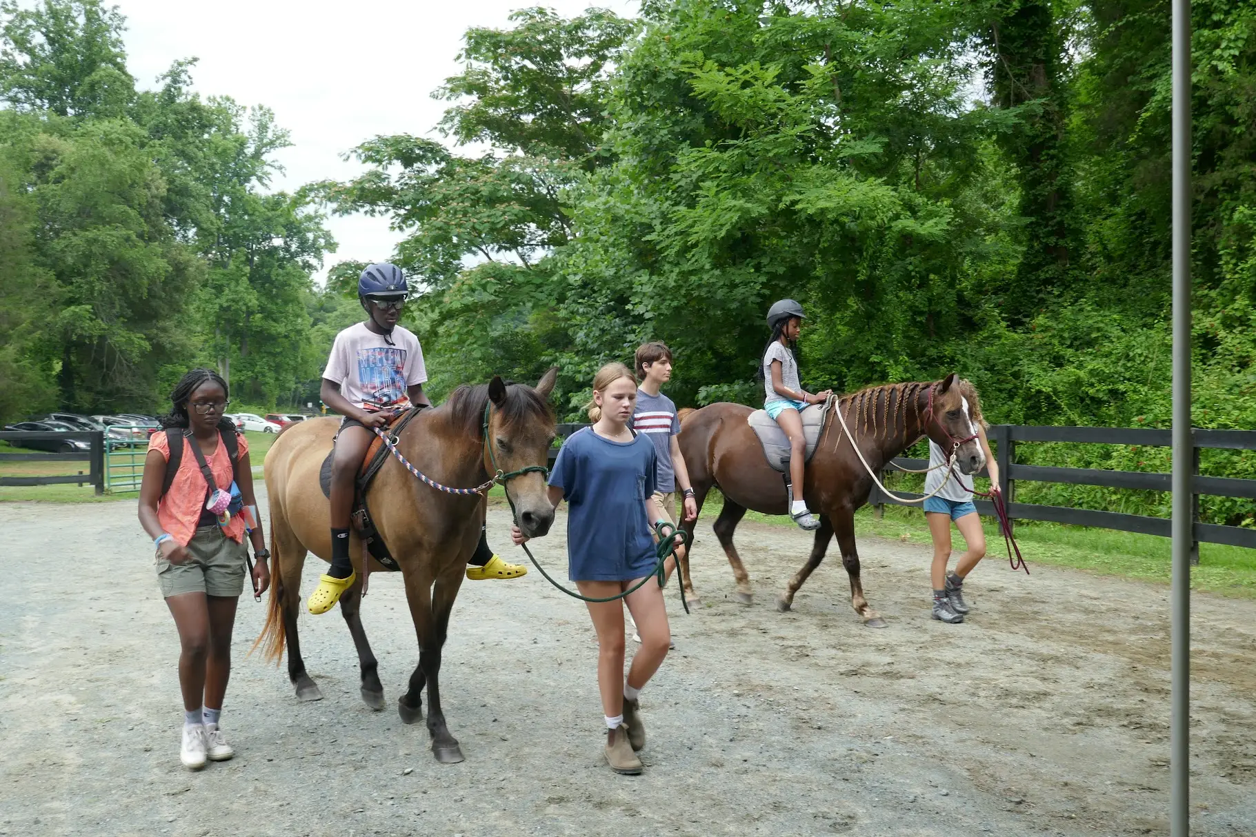 Horse Horse
