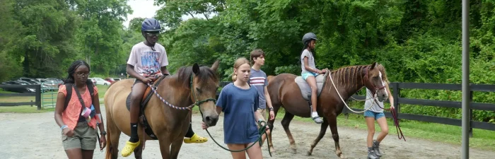 Horse Horse